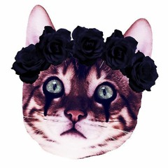 Dirty Jack Ü Justin Boot