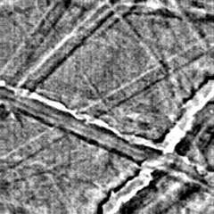 Tabula Rasa 5th Variant