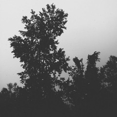 reminiscent