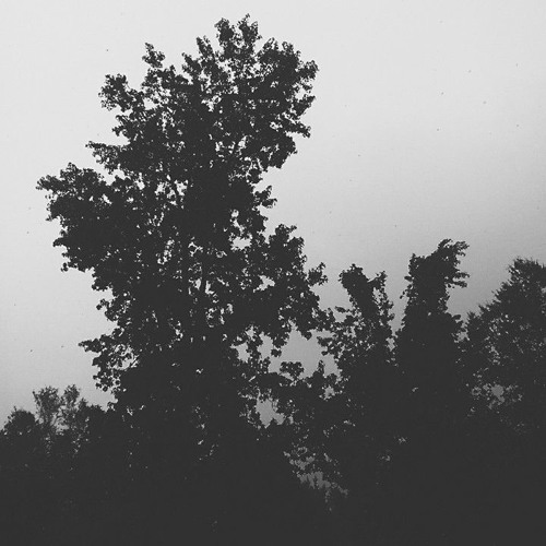 reminiscent
