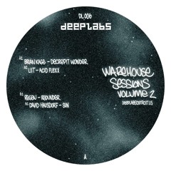 Brian Kage - Decrepit Wonder - Deeplabs