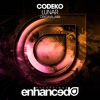codeko-lunar-radio-mix-out-now-codeko