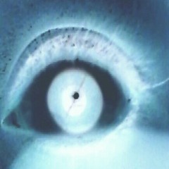 Puella Quam Amo Est Pulchra - BrightEyes (covercomp)