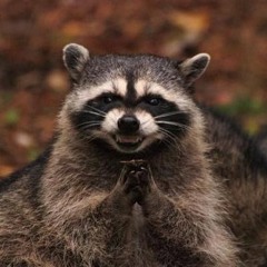 Plotting(Pro.King Ku$h)