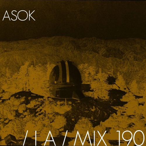 IA MIX 190 ASOK