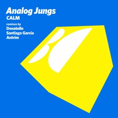 Analog Jungs - Calm (Santiago Garcia  Remix)