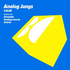 Analog Jungs - Calm (Donatello Remix)