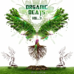 GALAXY DROP - Organic Beats Vol.3 -24Bits- - 02 Micro Movement -24-