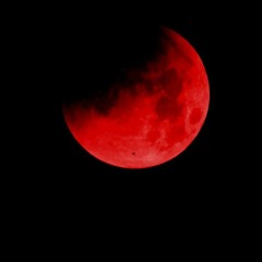 Blood Moon Prophecy