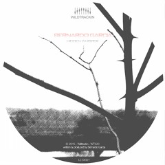 Bernardo Garcia - Hidden Whispers - 96 kBit/s