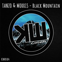 Tanzo & Morris - Fake Truth (Stereo For Two Remix) [Klangwerk Records]