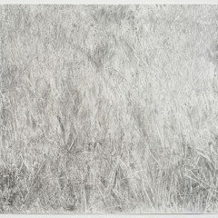 Scott Tuma "Durango"