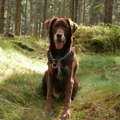 Balu