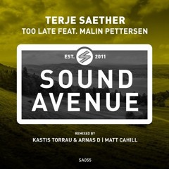 Terje Saether & Malin Pettersen - Too Late (Kastis Torrau & Arnas D Remix)[Sound Avenue]  Preview