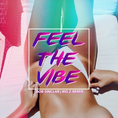 Bob Sinclar - Feel The Vibe (Big Z Remix)