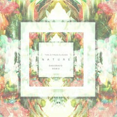 The Citrus Clouds - Nature (Dan Bravo Remix)