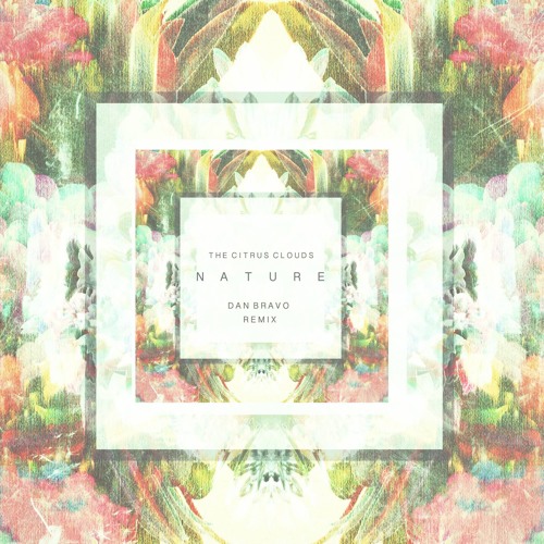 The Citrus Clouds - Nature (Dan Bravo Remix)