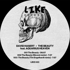 David Hasert - The Beauty feat. Aquarius Heaven (Niconé rmx) - LIKE023 Vinyl