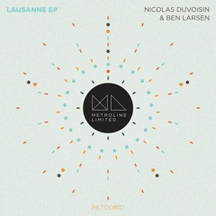 03 - Nicolas Duvoisin & Ben Larsen - Petite Coquine (David Delgado 99% Pure Remix)