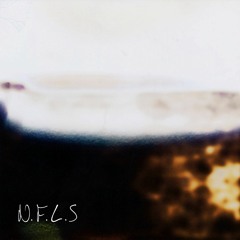 N.F.L.S