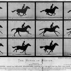 Lilac Chaser (Excerpt)