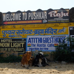 Pushkar Blues