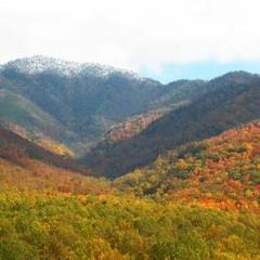 Autumn Mountain Harvest