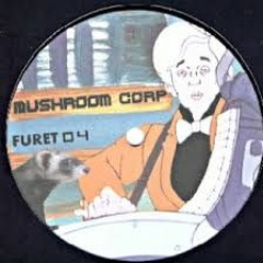 Le Furet 01 A1 Furet 04