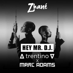 Zhane - Hey Mr. DJ (∆ trentino ∇ & Marc Adams revision)
