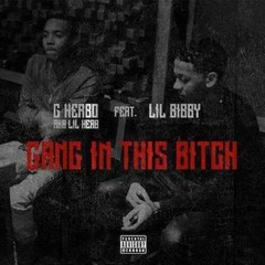 Lil Herb - Gang In This Bitch Ft. Lil Bibby