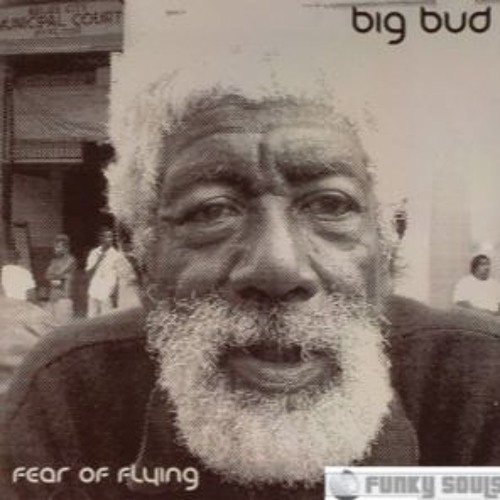BIG BUD FEAR OF FYING    =Blue 4 U