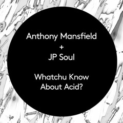 Anthony Mansfield + JP Soul - Whatchu Know About Acid? (Roam Recordings)