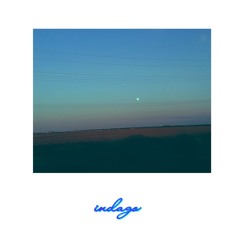 Indago