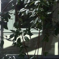 i'll wait in the car