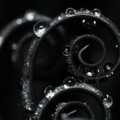 Black Drops (Original mix)