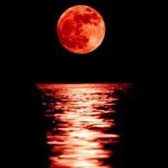 PINK-E' S "BLOOD MOON SONATA"