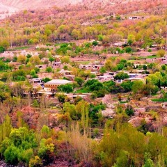 waseem best1