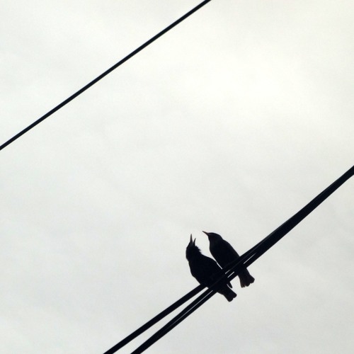 Progression 4 - Idle Chit Chat