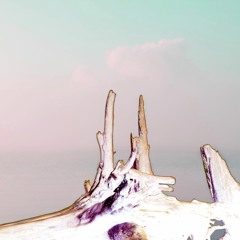 guises - slow bunny (ird remix)