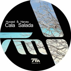 Hunzed & Harvey - Cala Salada (David Mayer Remix)