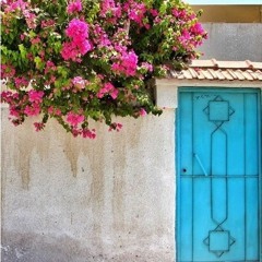 حسن الحفار و سيد الملاح