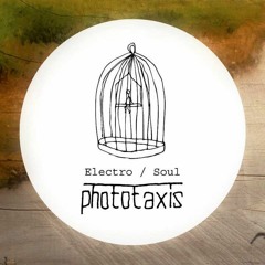 Mixing: Sebastian Kovács