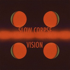 Vision (Single Version)