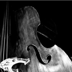 Quizás, quizás, quizás // por Duo Mário Brito & Marina Falda