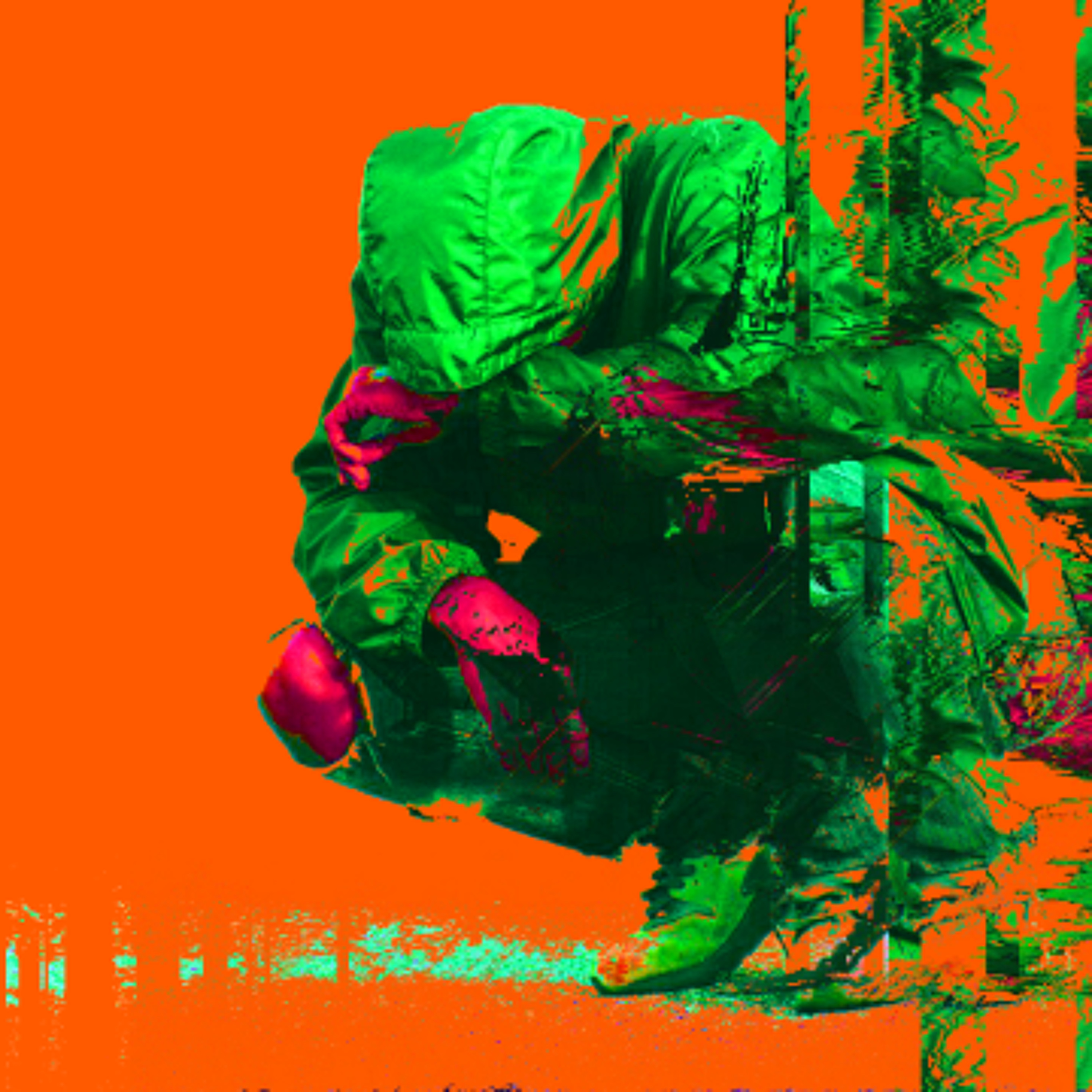 BIRNABEATZ