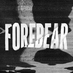 Pigeons Eating Glass