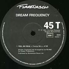 Dream Frequency - Feel So Real (1991)