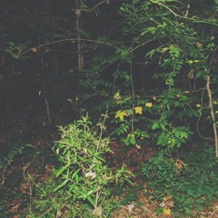 better place (prod. Lzu.)