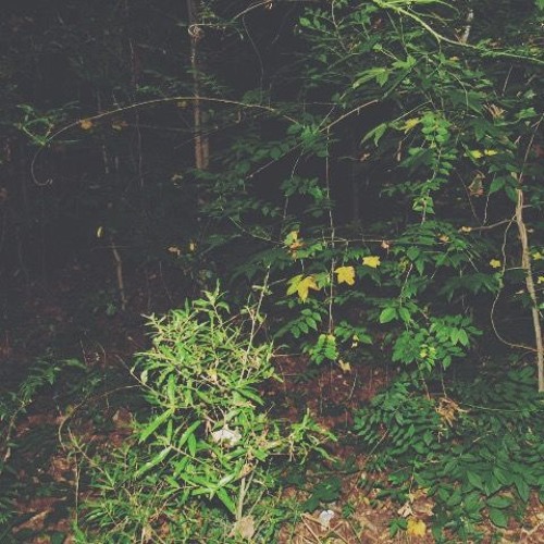 better place (prod. Lzu.)