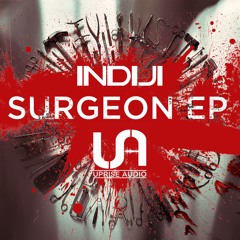 Indiji - Politiks